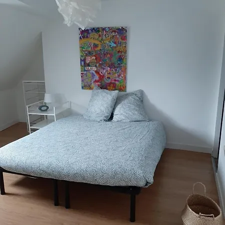 Duplex Hyper Centre De Tours